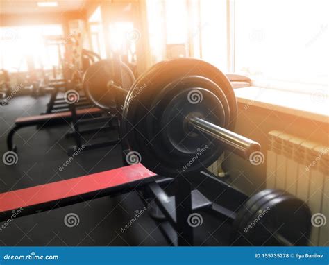 Equipment for Training in the Gym Stock Photo - Image of equipment ...