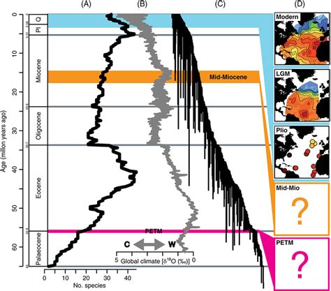 Planktonic foraminiferal diversity throughout the Cenozoic. (A) Changes ...