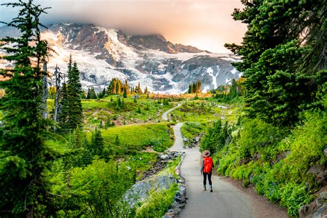 Hiking the JAW-DROPPING Skyline Loop Trail at Mt. Rainier National Park
