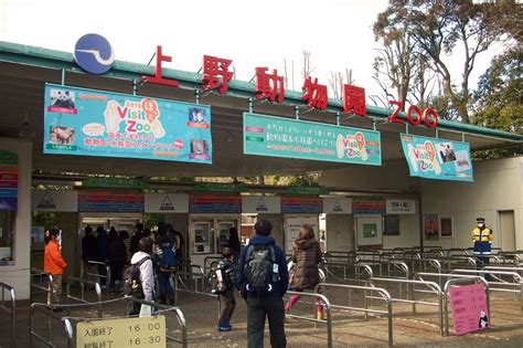 Ueno Zoo: Must Visit Zoological Gardens in Tokyo - Japan Web Magazine