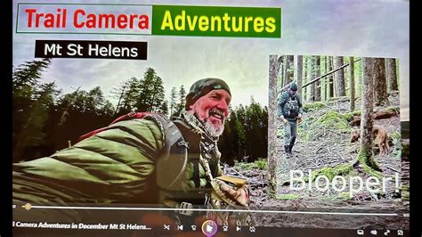 Captivating Trail Camera Adventures: Mt St Helens Wildlife Unveiled - YouTube