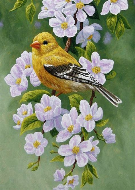 SUNNY LIFE OF NATURE AND ANIMALS🕊️🌸 Fan Art: Birds art💖🕊️🌹 | Bird art ...