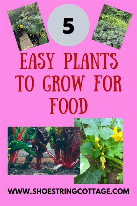 Five easy plants to grow for food #fivefrugalthings - Shoestring Cottage