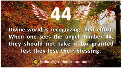 Seeing Angel Number 44 can be sure of future financial stability | 44 Angel