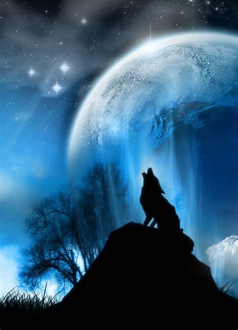 Arctic Wolf Howling At The Moon