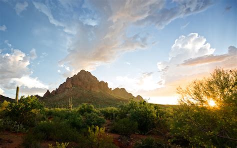 Ironwood Forest National Monument - A Treasure in the Sonoran Desert