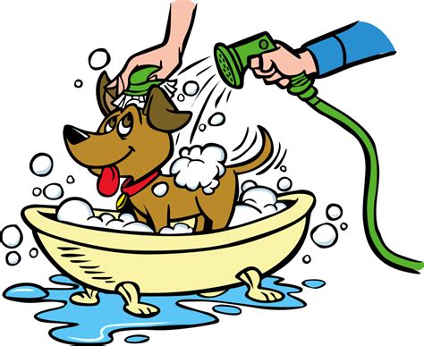 How Often Should You Wash Your Dog? - All Paws Pet Wash