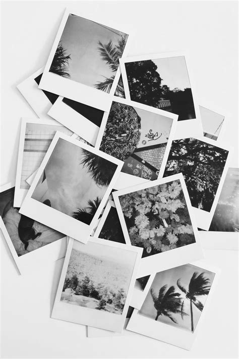 Pin by Cristina on . Click . | Black and white photo wall, Polaroid ...