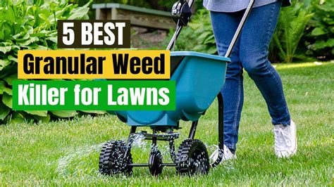 Best Granular Weed Killer for Lawns Guide & Reviews - YouTube