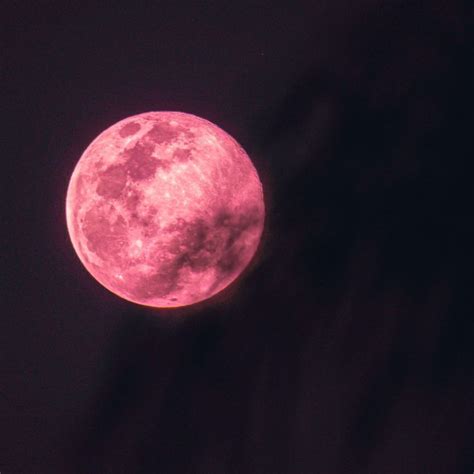 Full Pink Moon 2023: What Is It And How Will It Affect Your Zodiac?