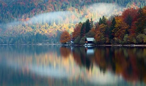 Lake Forest Lodge Wallpaper - WallpaperSafari