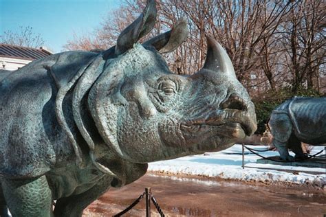 Bronx Zoo: New York Attractions Review - 10Best Experts and Tourist Reviews