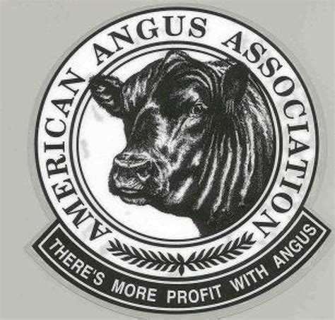 American Angus Association adds junior members