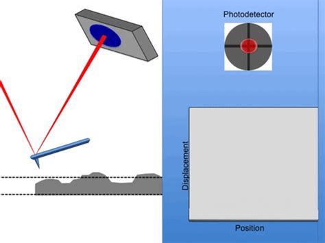 Microscopy GIF - Find & Share on GIPHY