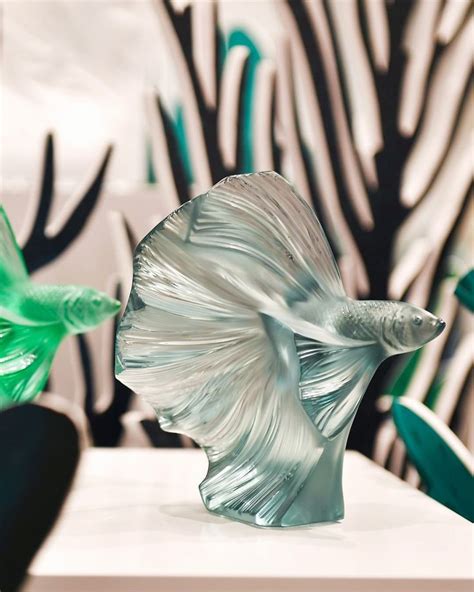 LALIQUE on Instagram: “Playing on reflections and transparencies, the ...