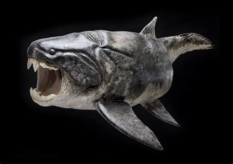 D4sign: Real-Life Monsters: Dunkleosteus