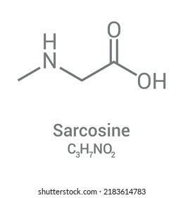 Chemical Structure Sarcosine C3h7no2: เวกเตอร์สต็อก (ปลอดค่าลิขสิทธิ์) 2183380243 | Shutterstock