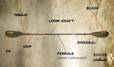 Choosing the Right Kayak Paddle for You (Size, Style, Material & More) - ruggedoutdoorsguide.com