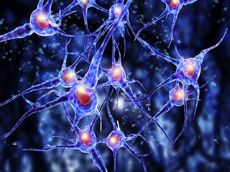 ニューロンの背景。 ニューロン , 生物学 ニューロンとニューロン コカイン, 脳細胞 高画質の壁紙 | Pxfuel