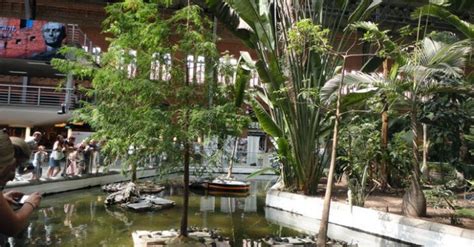 Atocha Station Tropical Garden « Inhabitat – Green Design, Innovation, Architecture, Green Building