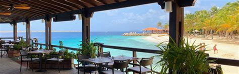 Harbour Village Bonaire | Maduro Dive | Exclusive Scuba Diving Packages