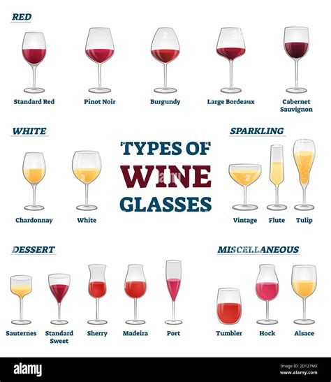 Types of wine glasses banner with educational labeled classification and example collection ...