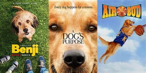 20 Best Dog Movies - Top Pet Movies of All Time