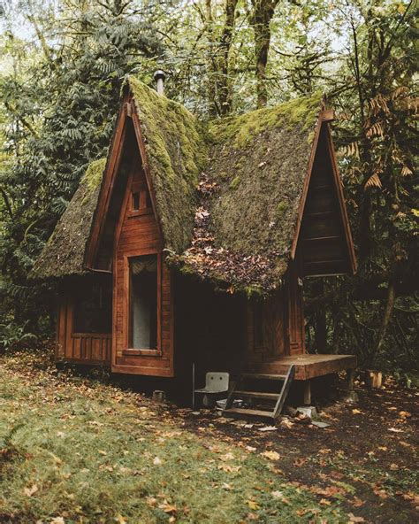 Fairy tale cabin in the woods : r/CozyPlaces