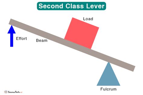 Lever: Definition, Parts, Types, and Examples