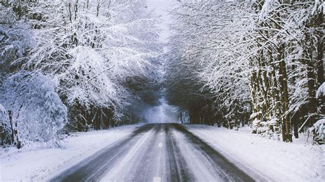 On the first day of snow, Longfaye, Belgium (Photo credit to Albert ...