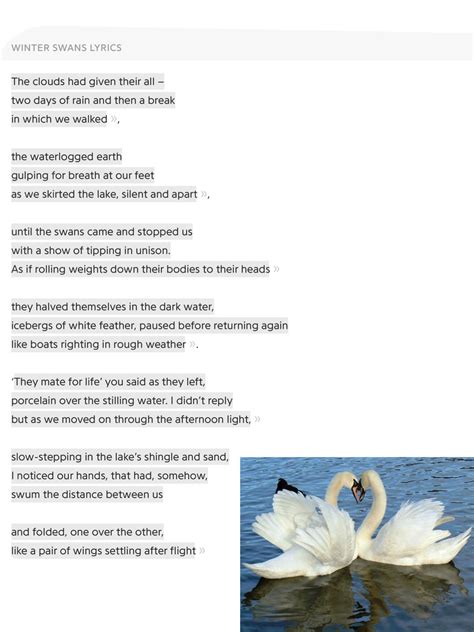 swans mate for life poem - Karin Guffey