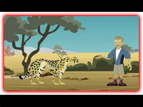 Wild Kratts Go Cheetah Go - Wild Kratts Games - YouTube