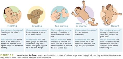 Neonatal Reflexes