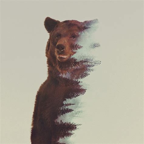 Animals of Double Exposure by Andreas Lie | The Collective Loop