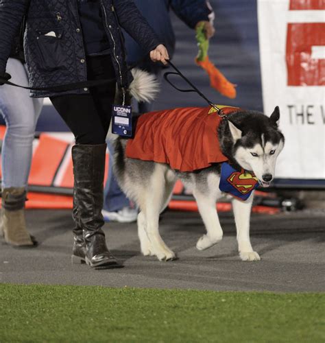 Everyone Loves Jonathan: The inside story of the UConn mascot — The ...