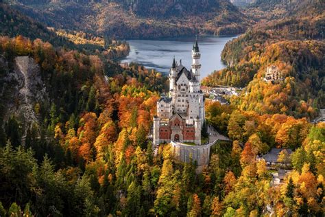 Download Bavaria Germany Castle Lake Forest Fall Man Made Neuschwanstein Castle 4k Ultra HD ...