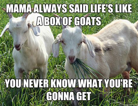 Goat Quotes. QuotesGram