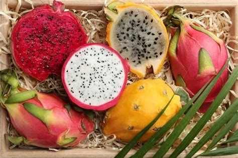 ¿Para Qué Es Buena La Pitahaya? | FrutaMare