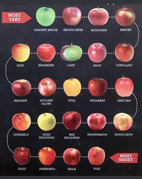 Apples from tart to sweet! | Apple chart, Apple varieties, Fruit