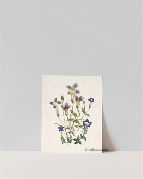 Blue Vintage Botanical Prints, Set of 6