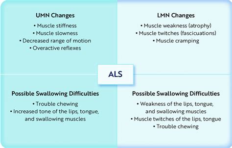 Upper Vs Lower Motor Neuron | Webmotor.org