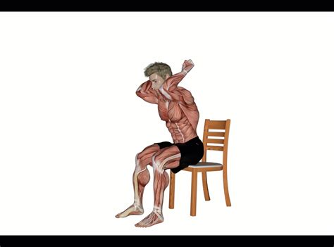 Overhead tricep extension – Your fitness success!