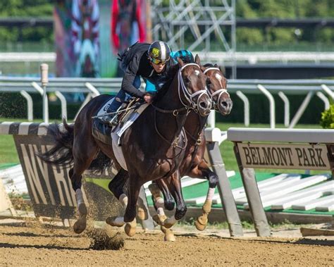 Travers Stakes 2024 Horses Price - Winne Jacqueline