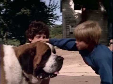 WORLD'S SCARIEST DOG?: Stephen King's "Cujo" vs. "Shiner," attack dog ...