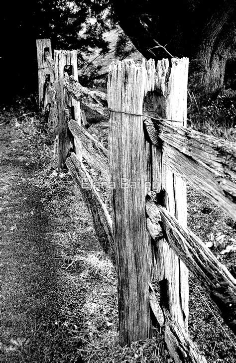 "Old wooden fence" by Elana Bailey | Redbubble