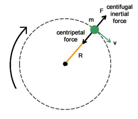 Centripetal and Centrifugal Forces | Physical Cycling