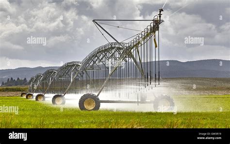 Large farm irrigation sprinkler system watering grass crop Stock Photo ...