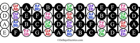 Notas del Bajo Eléctrico【Diagramas en PDF】Guía Completa!