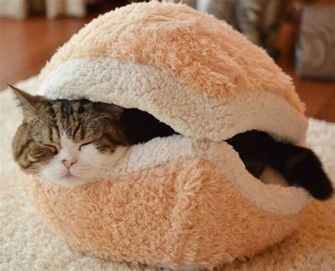 Top 10 Nerdy and Unusual Cat Beds