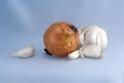 Garlic And Onion Free Photo Download | FreeImages